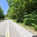 Tree blocking both lanes on Paint Creek Road