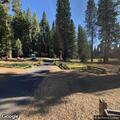 Person with abdominal pain at Lair of the Bear