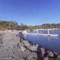 Tree branch concern at Nick's Cove on Shoreline Highway