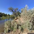 Possible prescribed burn at river day use area