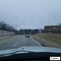 Geese on I-64 East shoulder cause traffic concern