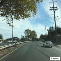 Goose blocking lane on southbound Highway 101