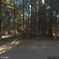 Tree reported on power or utility line in Arnold