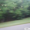 Two-car crash on Patuxent Beach Road