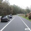 Deer grazing on highway shoulder creates hazard