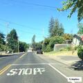 Cal Fire checks report of smoke on Walnut Drive