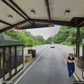 Welfare check after woman left on roadway