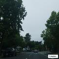 Ongoing loud family dispute at Sebastopol apartment