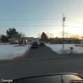 Loose dogs reported on Spring Creek Road