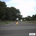 Injured deer blocking road near Germanna Highway