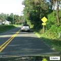 Unconscious person reported near Kellogg Mill Road