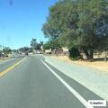 Animal control requested on CA-49 near Plymouth