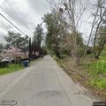 Tree blocking roadway on Van Keppel Road