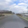 Injured deer on roadside after car strike