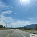 Loose calf near Highway 50 creating road hazard