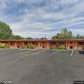 Bear reported near Long Holiday Motel