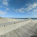 Person sick at Bethany Beach Ocean Suites