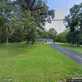 Car hits deer on Ripley Road in La Plata