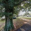 Person with breathing problems at Patch Lane
