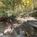Person sick at camp cabin in Prince William Forest Park