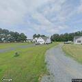 Loose dog reported on Fire Tower Road