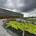 Woman with ankle fracture at Ark Encounter treated