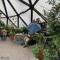 Person with sickle cell disease ill at city zoo