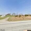 Tree partially blocking State Road 135 roadway