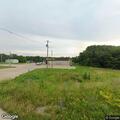 Cows loose on roadway near Dollar General