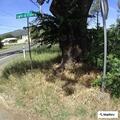 Elderly female with altered state standing on highway