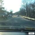 Traffic stop for car with fake Virginia plate