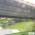Woman in street trying to stop passing vehicles