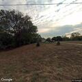 Aggressive dog kills chickens on Carlisle Road