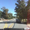 Dog attack between pets on Woodland Road