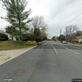 Loose dog reported near Glen Carlyn Road