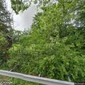Tree blocking one lane on Waterfall Road