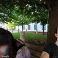 Person fell near Pennsylvania Avenue NW and 13th Street, DC