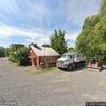 Bear in roadway near Pioneer Town