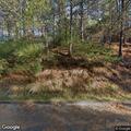 Baby deer jumping in and out of roadway