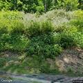 Single-vehicle crash involving bear on Indian Creek Rd