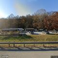 Injured deer blocking traffic on Route 33 East