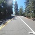Ill female reported near Mosquito Ridge Road