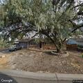 Concern over animal with baby in Orchard Mesa yard