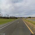 Loose goats creating roadway hazard