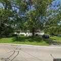Tree blocking traffic lane on Sunnyside Avenue