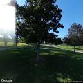 Small burn barrel fire at Friendship Park