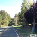 Report of woman sitting in grass by roadway