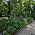 Patient fell at residence on Hyde Park Place