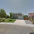 Dog found bleeding at Fruita residence