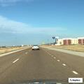 Deer on highway shoulder near Litchfield